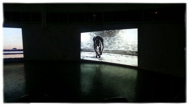 indiscretion-decadrages-2014