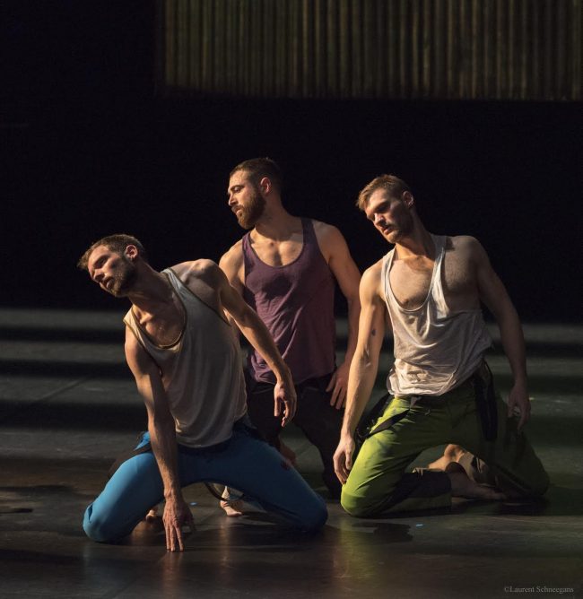 la douceur permeable de la rosé